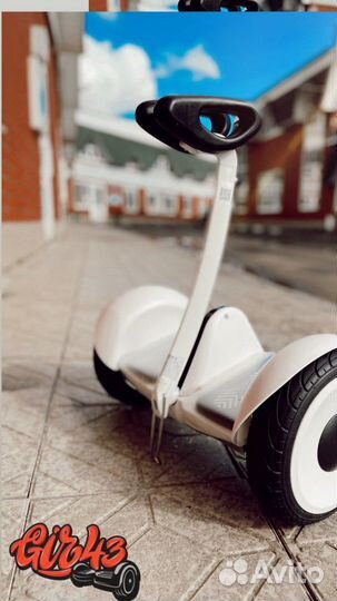 Сигвей новый