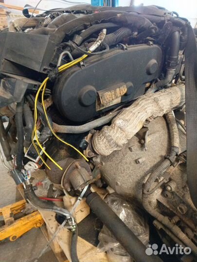 Двигатель Land Rover Discovery 3 276 DT 2007