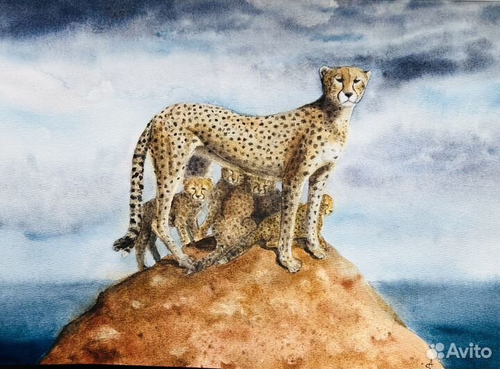 Картина акварель «Гепарды»