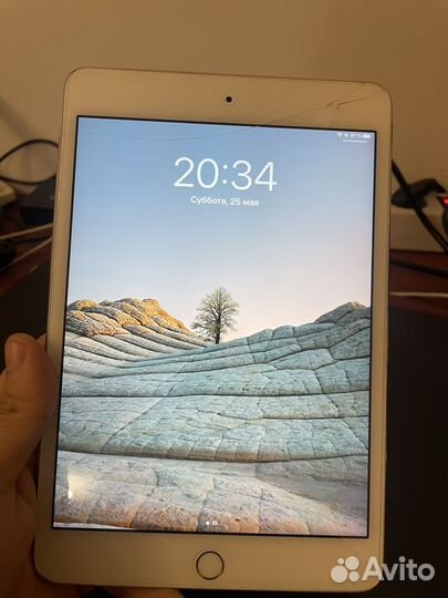 iPad mini 4 16gb