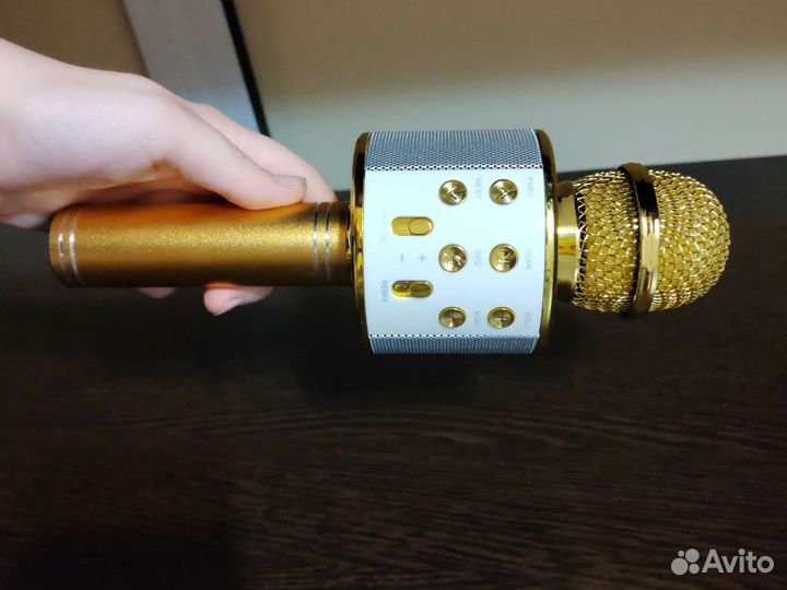 Колонка-микрофон