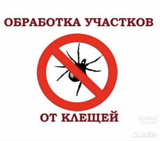 Обработка участков от клещей