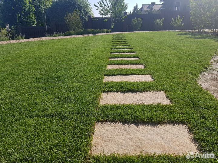 Рулонный газон с доставкой