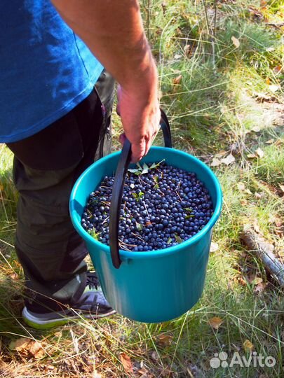 Ведро из пищ.пластика для грибов и ягод 10 л FIN