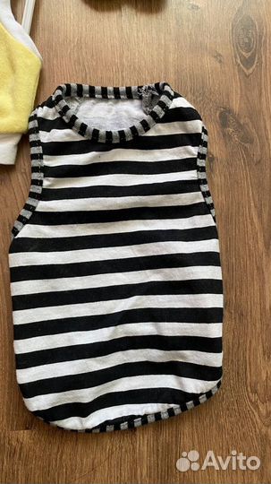 Одежда для мини собак