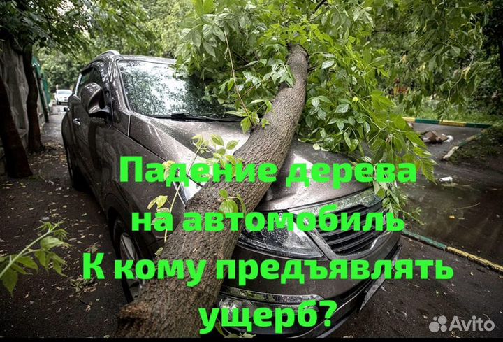 Юрист опытный Стаж 19 лет