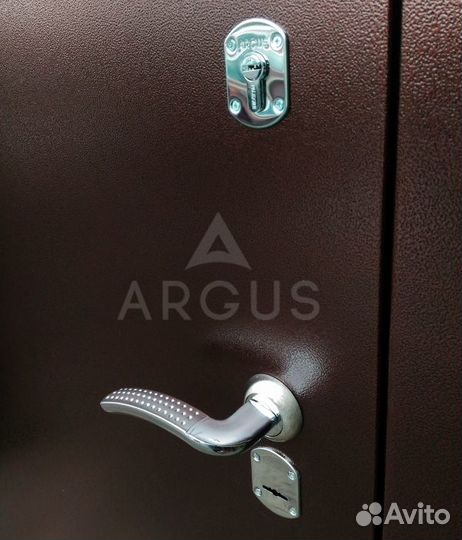 Дверь металлическая Аргус