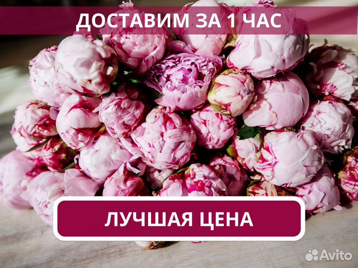Пионы букет. Доставка бесплатно