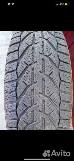 Tigar Winter 195/55 R16