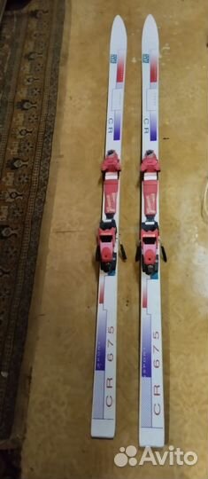 Горные лыжи