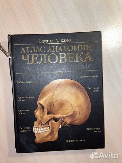 Атлас анатомии человека