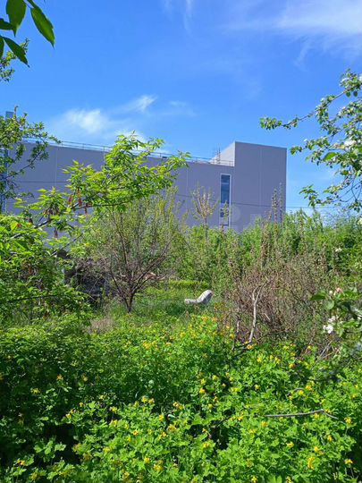 Дом 32 м² на участке 20 сот.