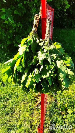 Банные веники