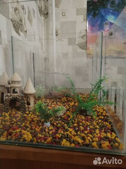 Аквариум
