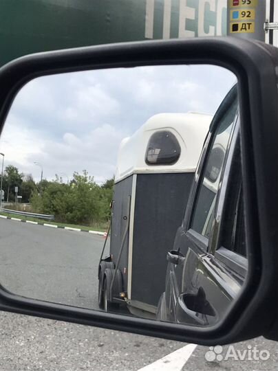 Перевозка лошадей и крс