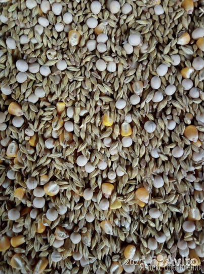 Зерносмесь