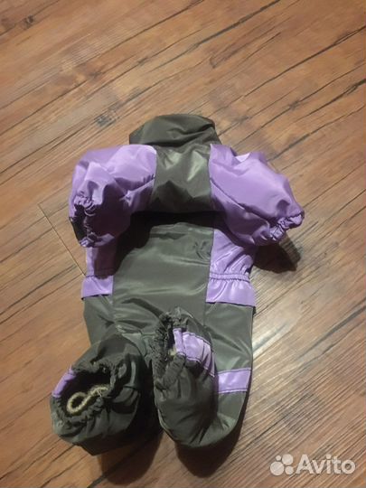 Одежда для собак мелких пород