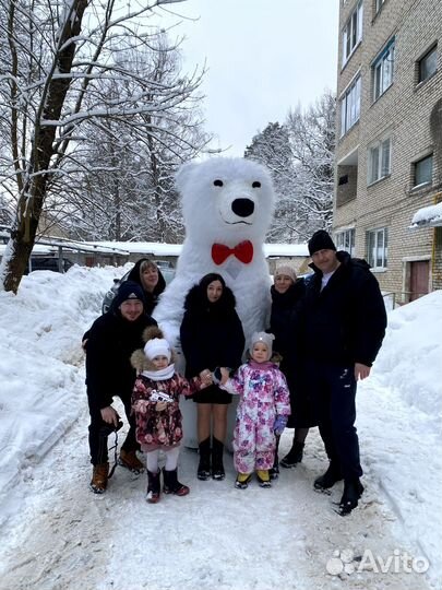 Поздравление от Белого Медведя, Большой мишка Умка