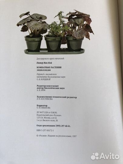 Энциклопедия комнатных растений