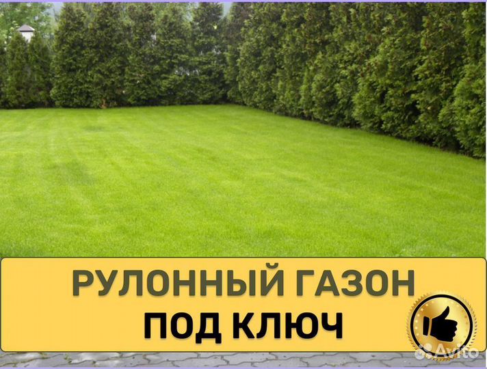 Рулонный газон укладка