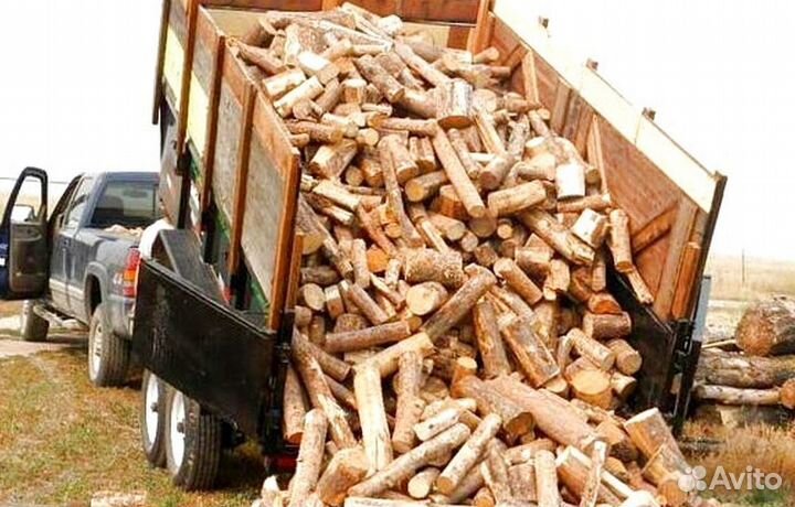 Дрова в область