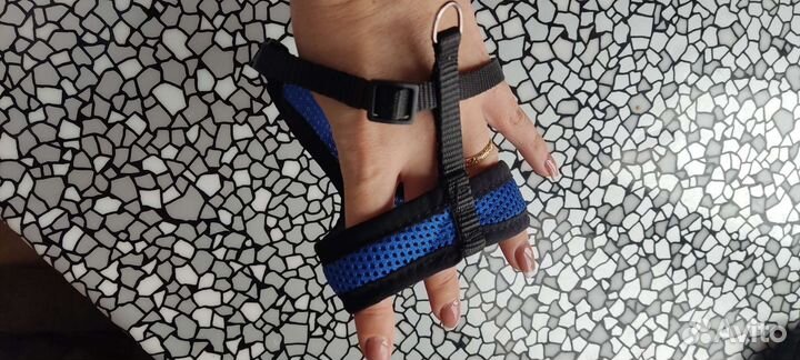 Одежда для собак