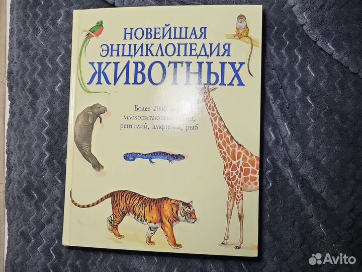 Энциклопедия