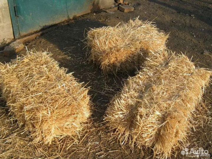Продам сена и солому