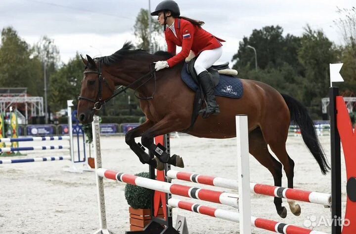 Тренер по бегу и фитнесу онлайн