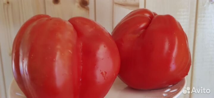 Семена редких коллекционных томатов