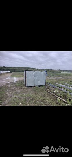 Клубника готовый бизнес