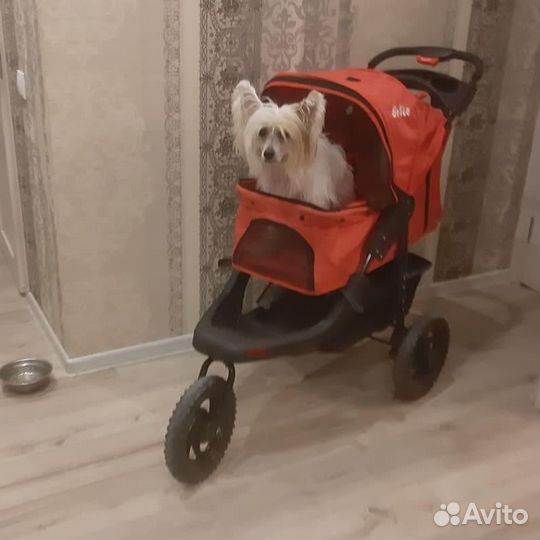 Коляска для собак