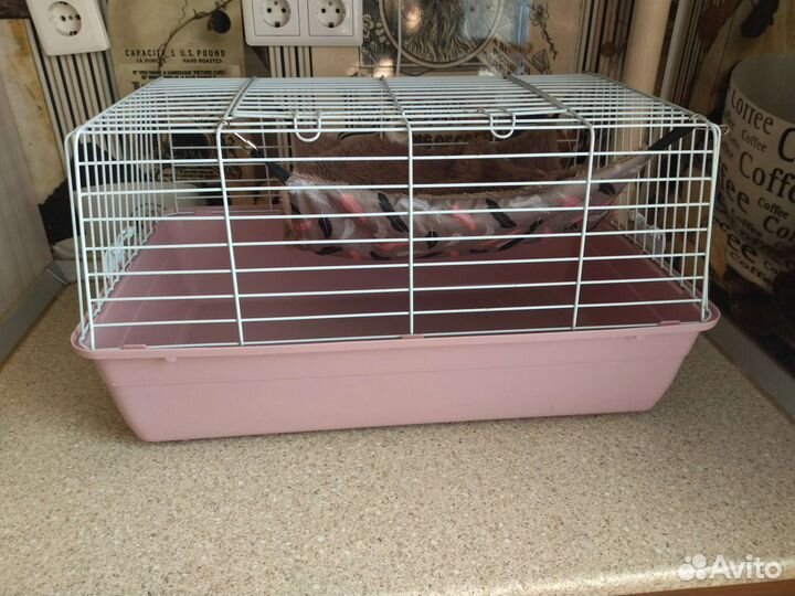 Клетка для грызунов бу