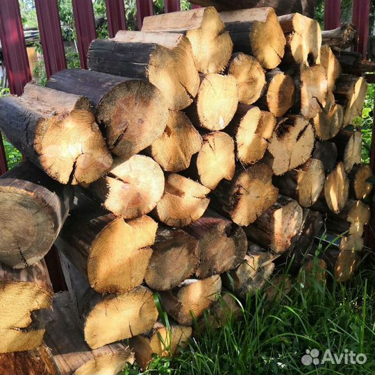 Аренда беседки