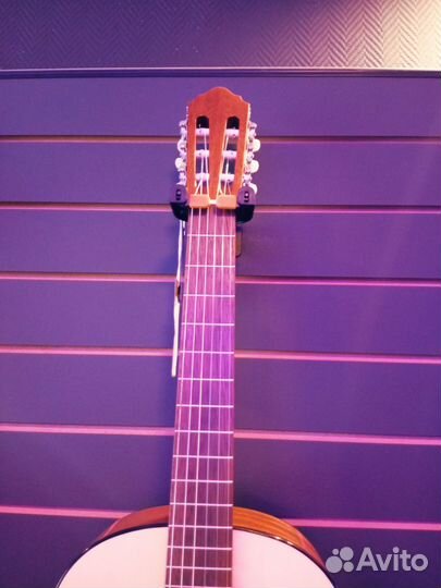 Гитара Cort AC100 SG