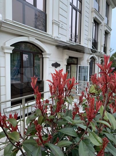 Квартира-студия, 20 м², 2/5 эт.