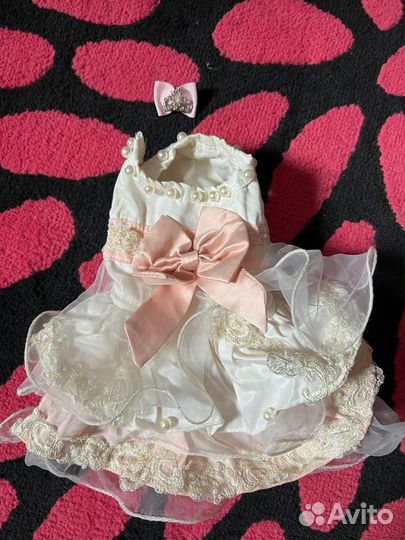 Платье для маленькой собачки принцесса