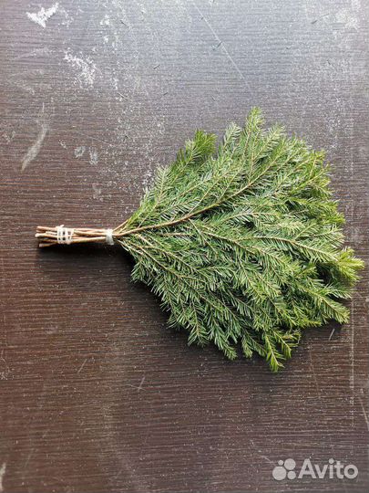 Банные веники