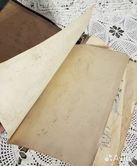 Чарлз Дарвин, Путешествие натуралиста