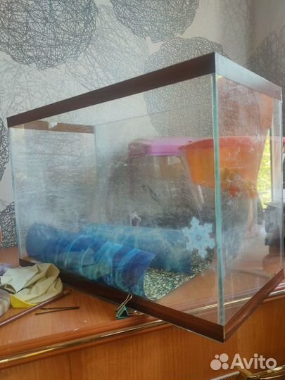 Аквариум