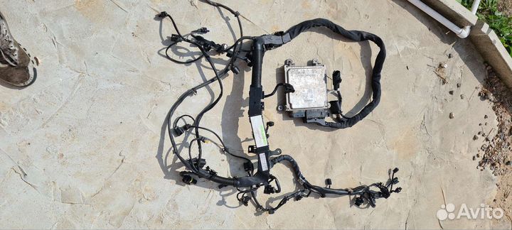 Mercedes sprinter 906,ом651 проводка мотора(коса)