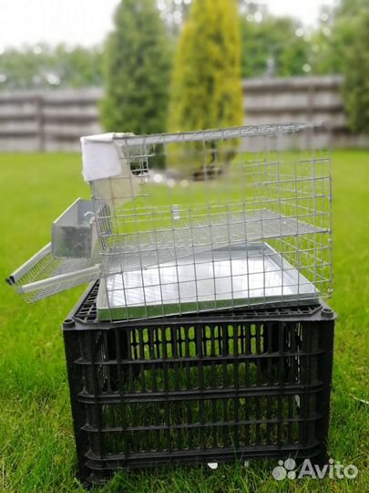 Клетка для перепелов(на 10 птиц
