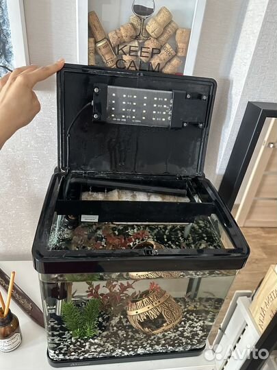 Стильный аквариум для рыбок со всех необходимым