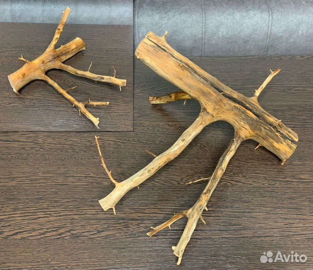 Коряги для аквариума/террариума