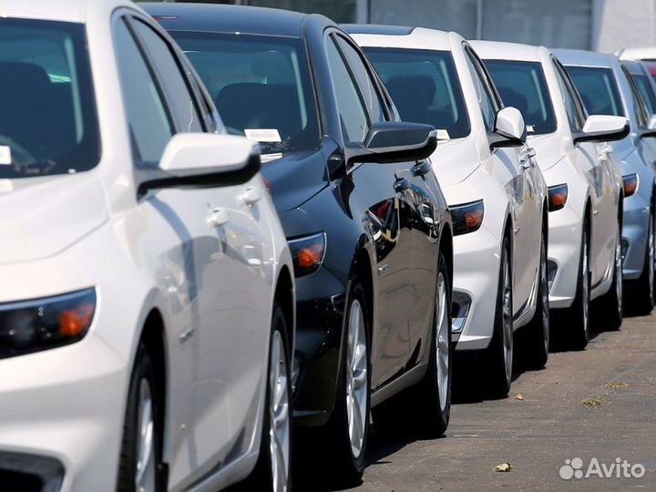 Оформление Эптс Сбктс Утиль под ключ