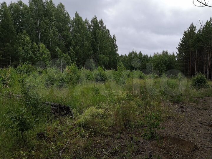 Участок 6,5 га (СНТ, ДНП)