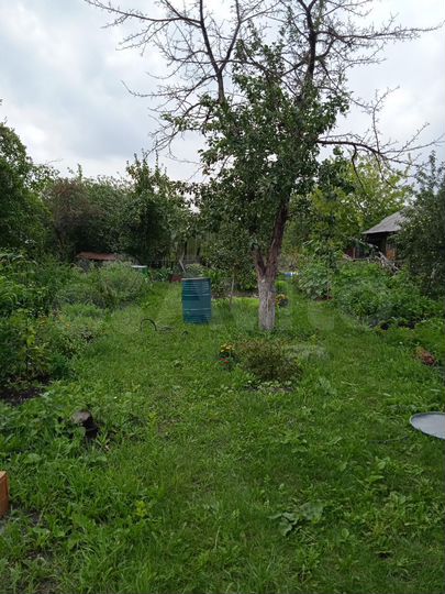 Участок 3,1 сот. (СНТ, ДНП)