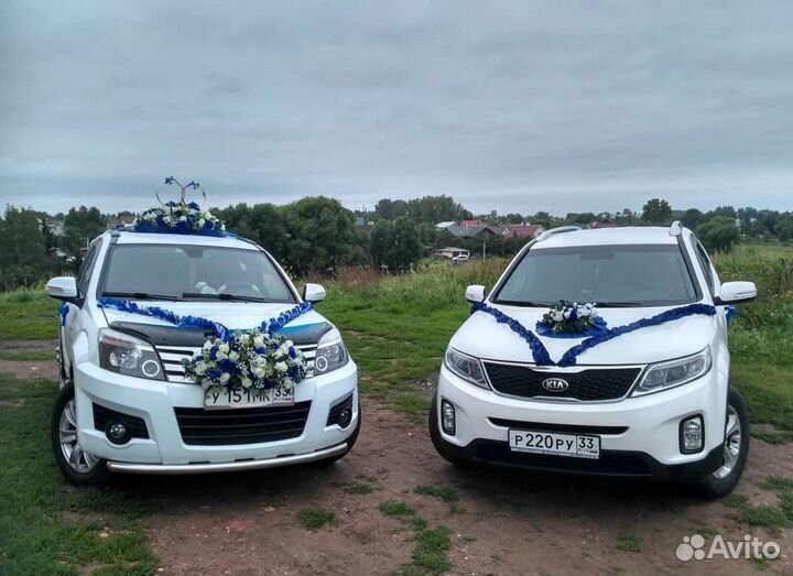 Автобусы и автомобили на свадьбу