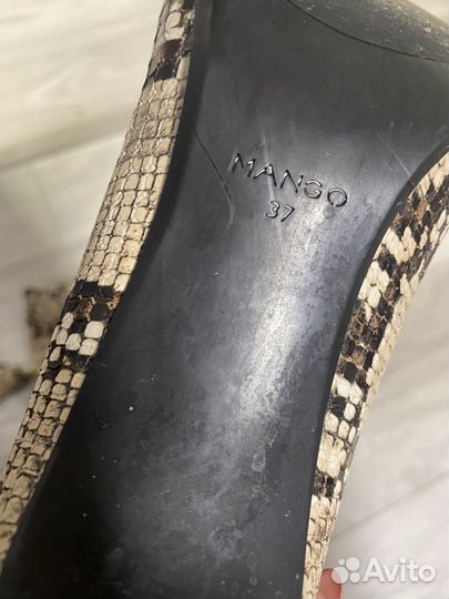 Ботфорты змеиный принт