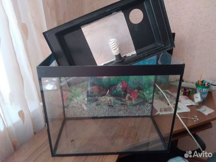 Аквариум